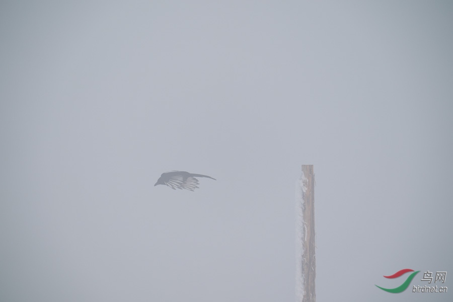DSC00690.jpg