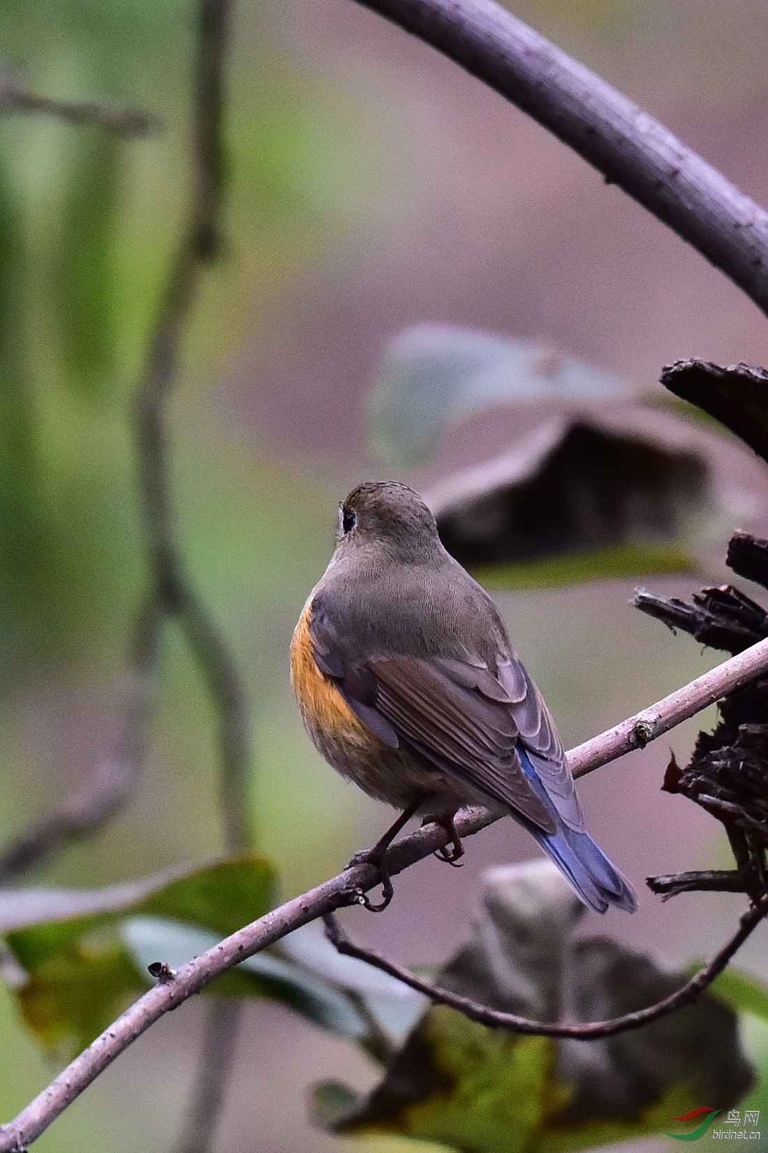 DSC_0051.JPG