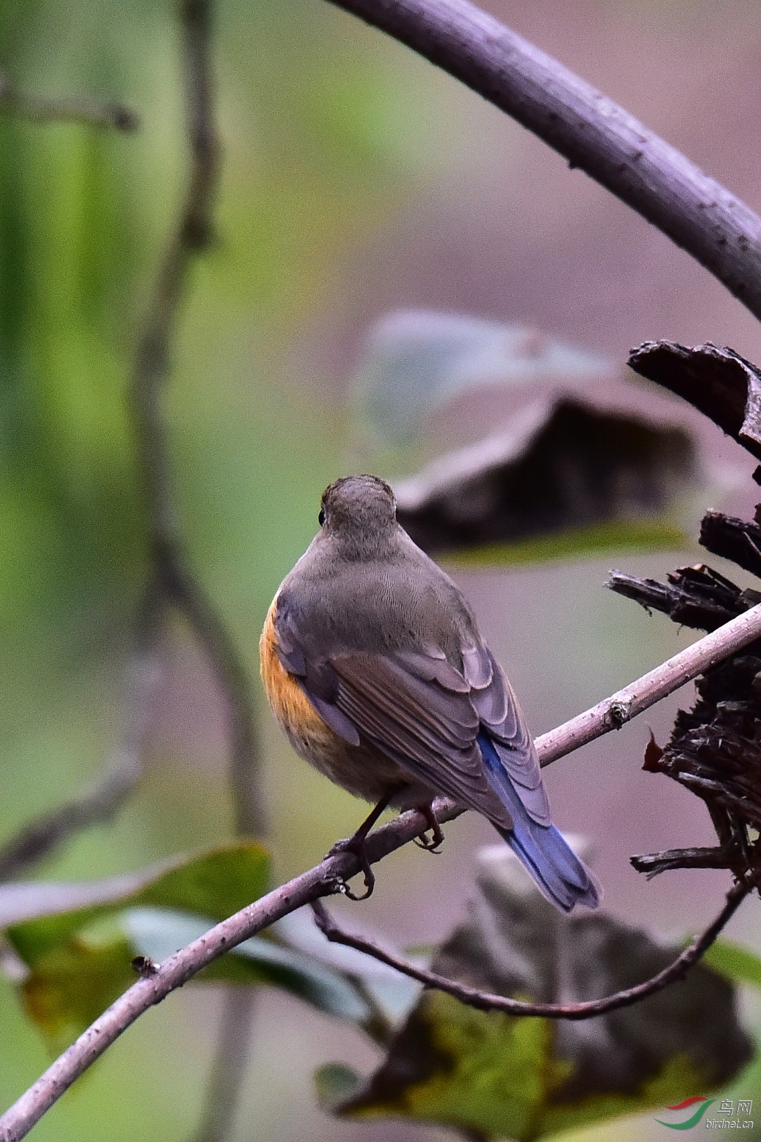 DSC_0052.JPG