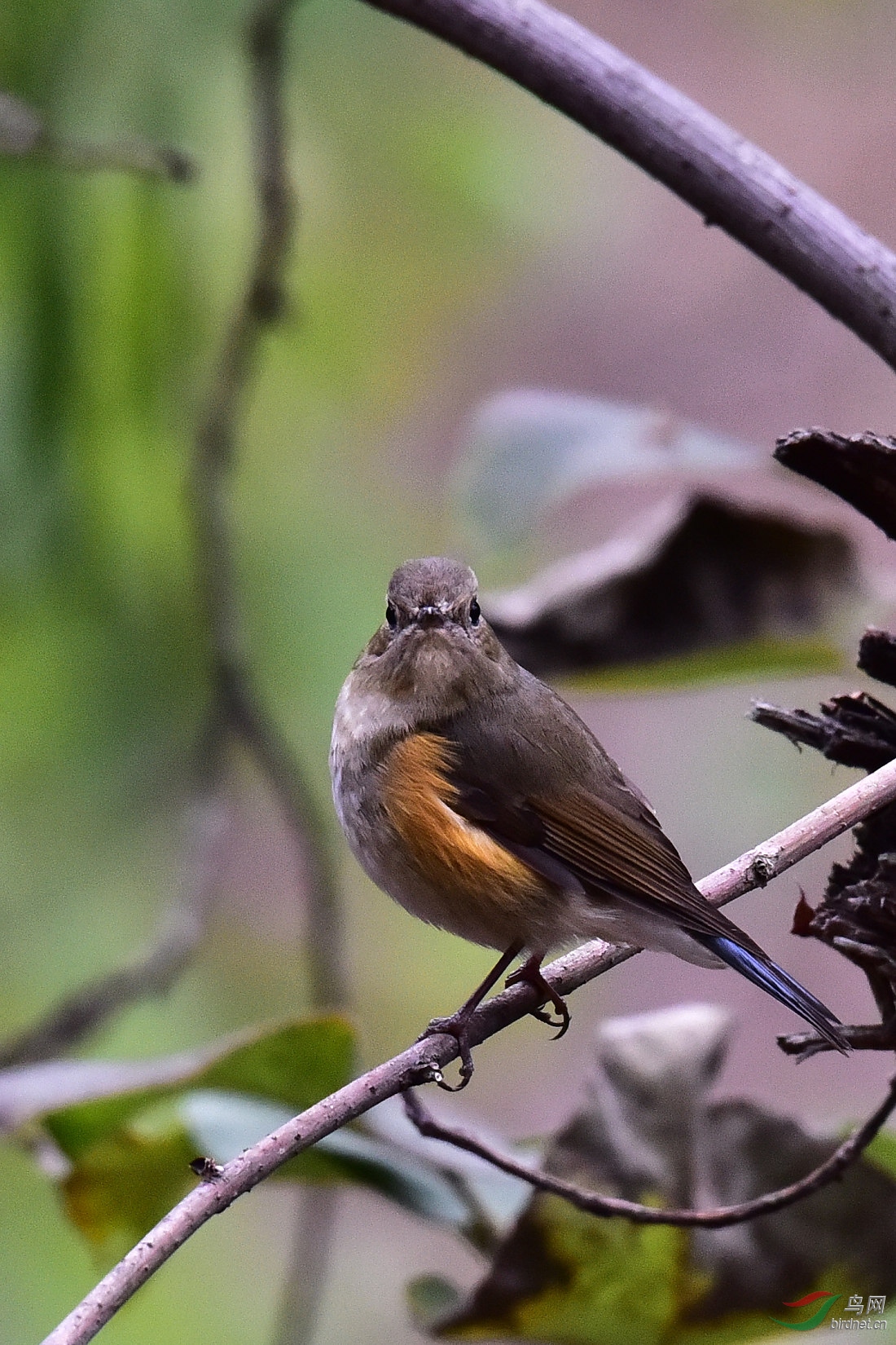 DSC_0054.JPG