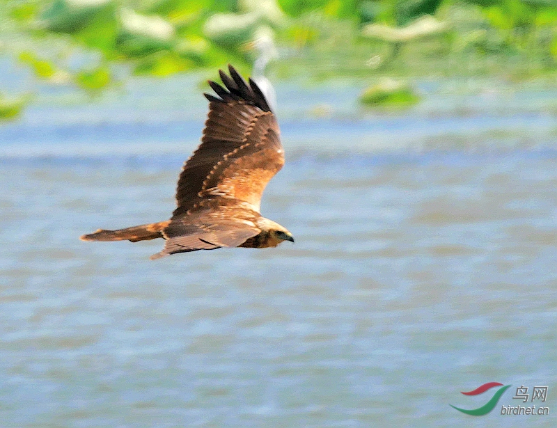 P5440847 - ����.JPG