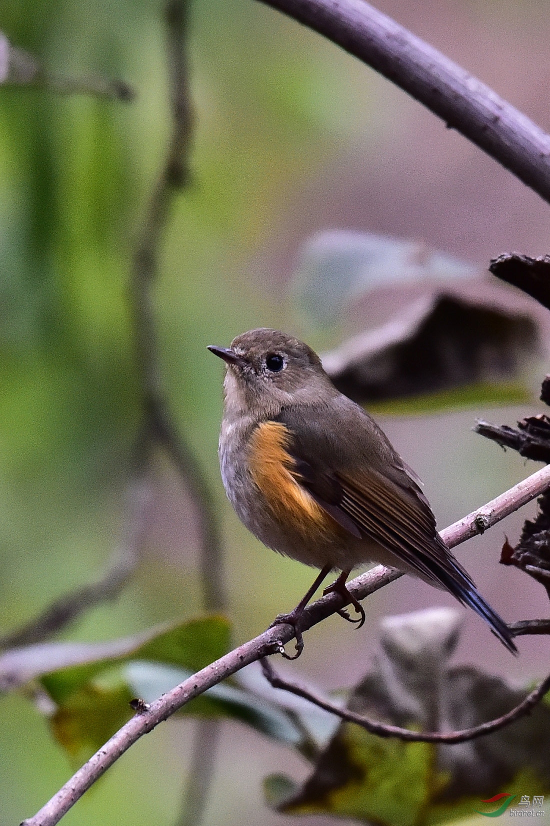 DSC_0056.JPG