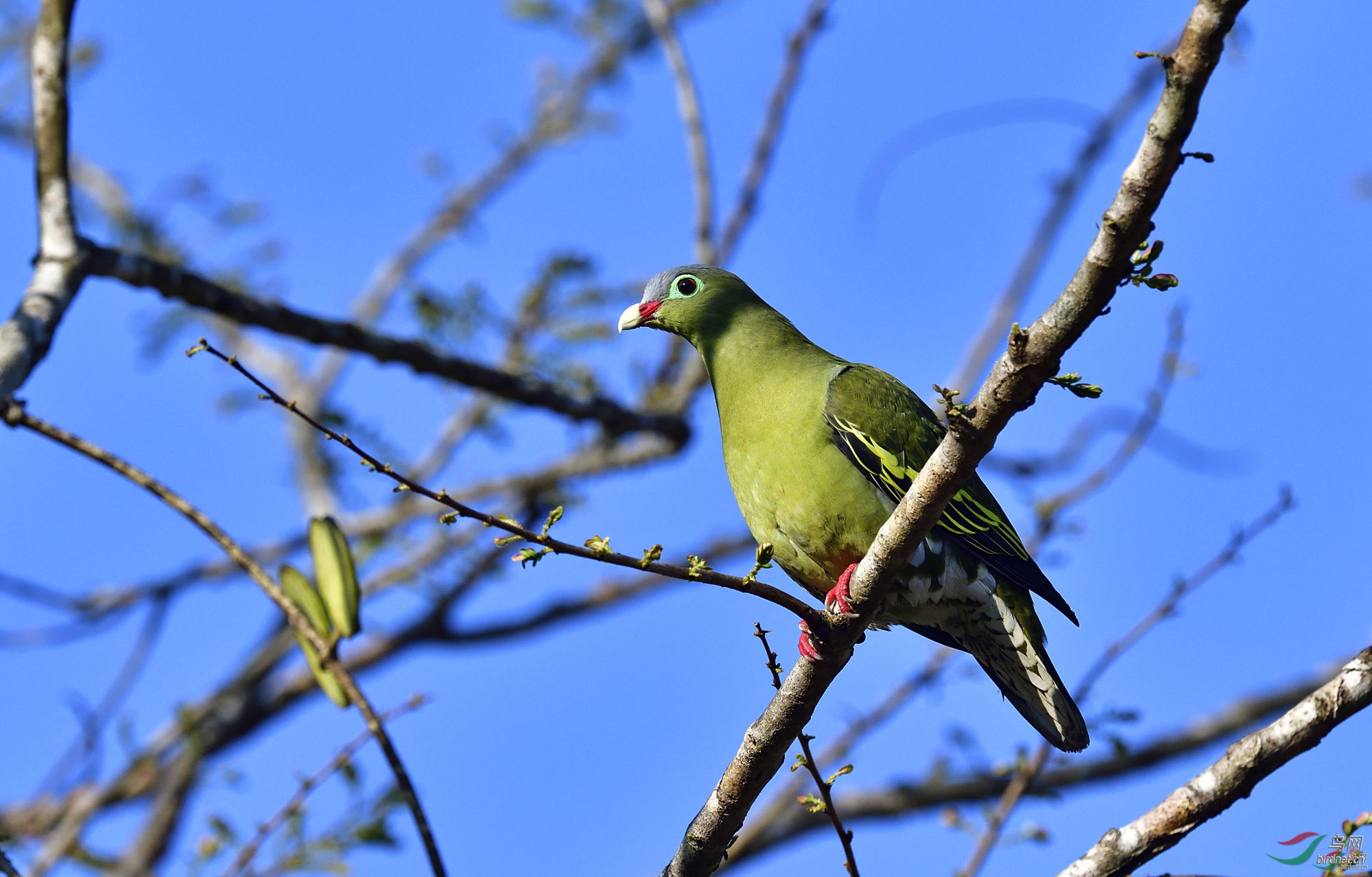 ��Ҳ���� ��ʦ������̩��500.jpg