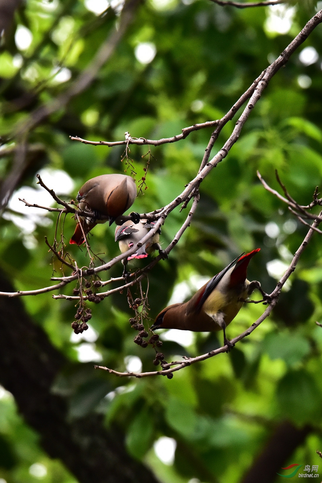DSC_0199.JPG