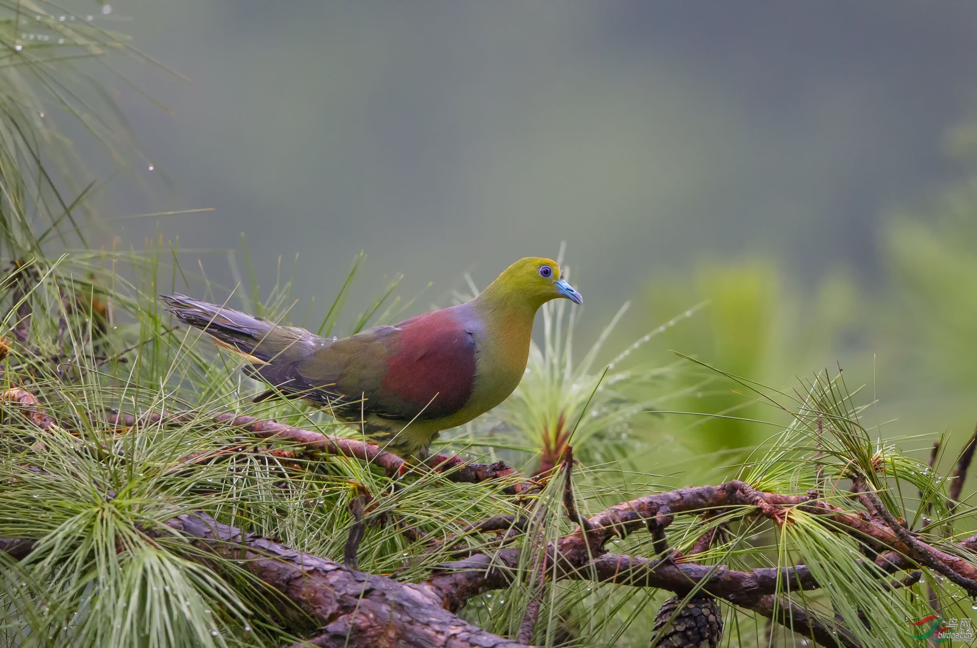 �����б� ��ʦ����������ʡ��������������������500.jpg