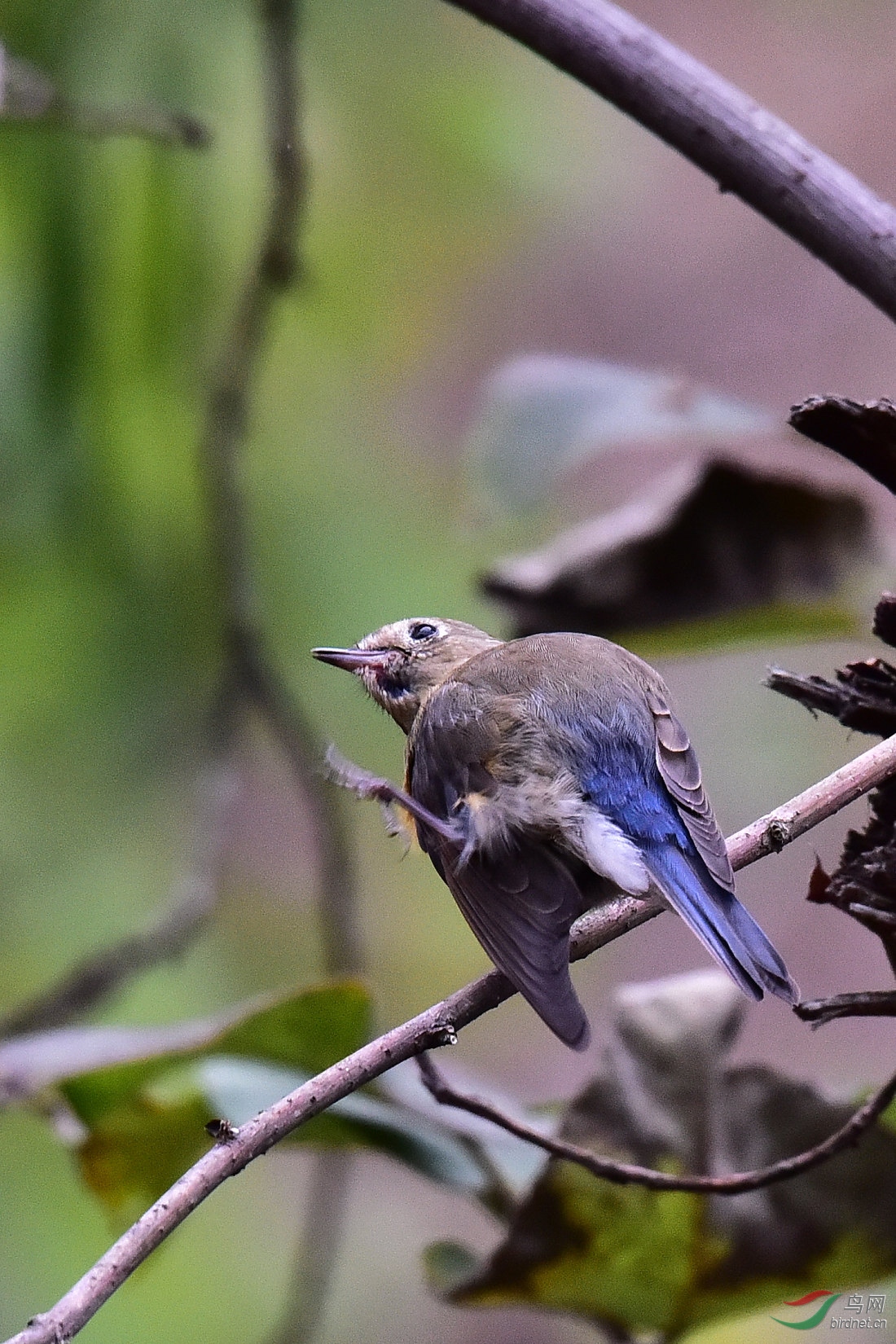 DSC_0063.JPG