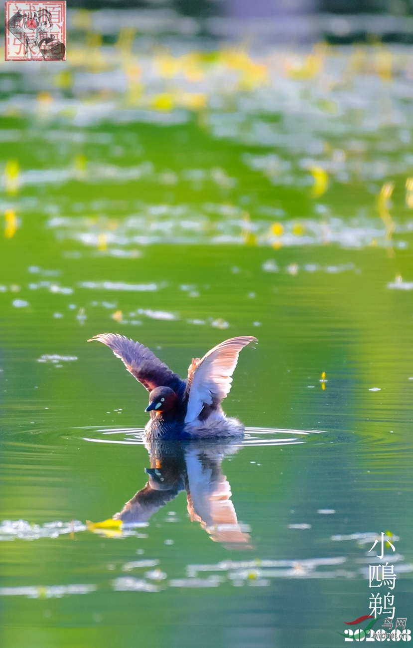 ZGS_6160 - ����_����_����.jpg