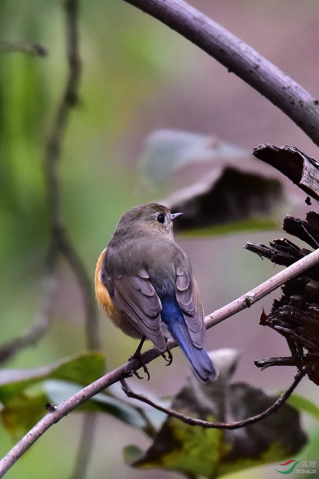 DSC_0067.JPG