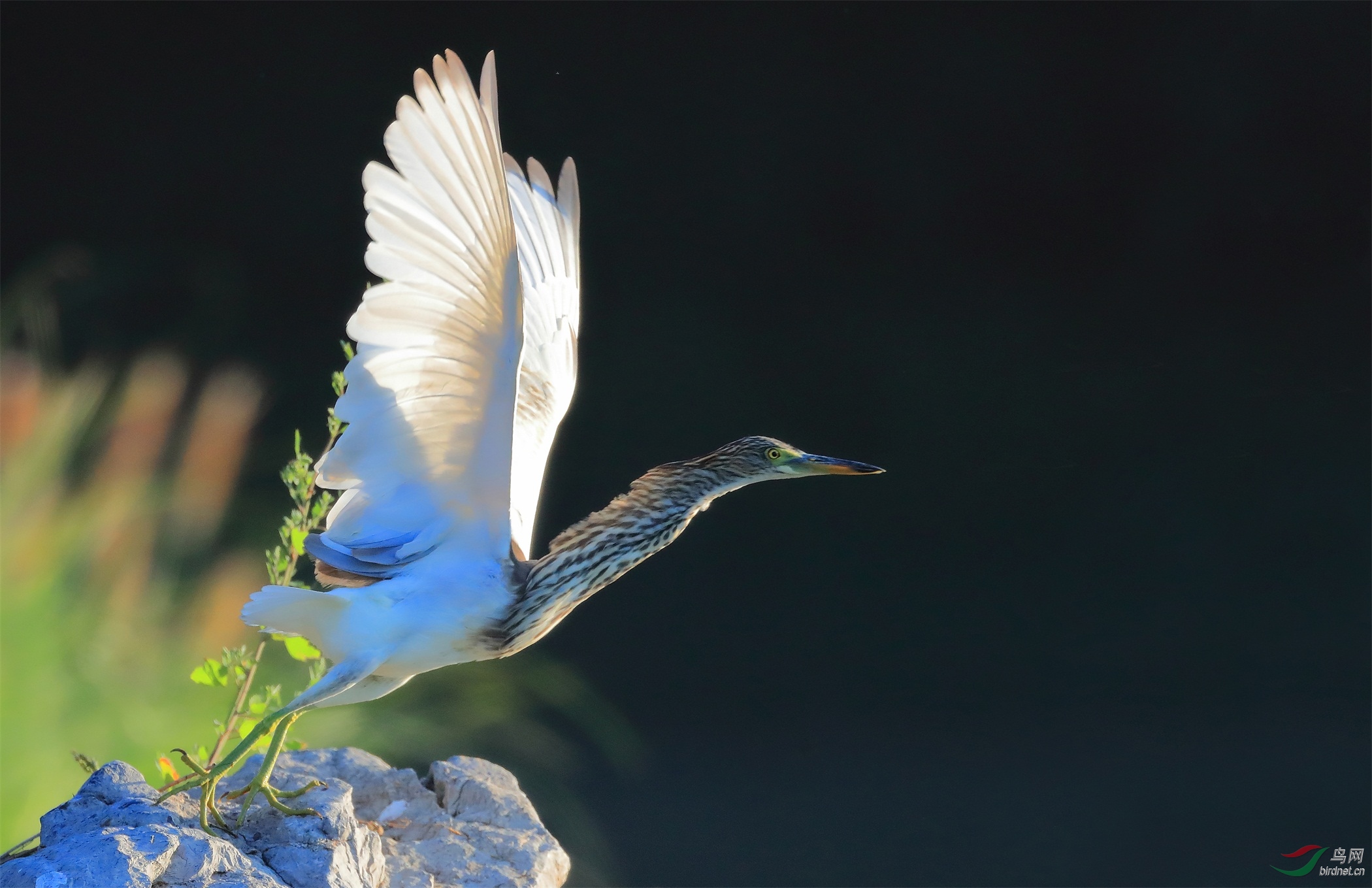 1 - ����.JPG