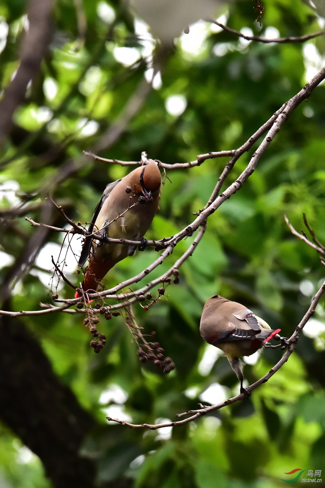 DSC_0211.JPG
