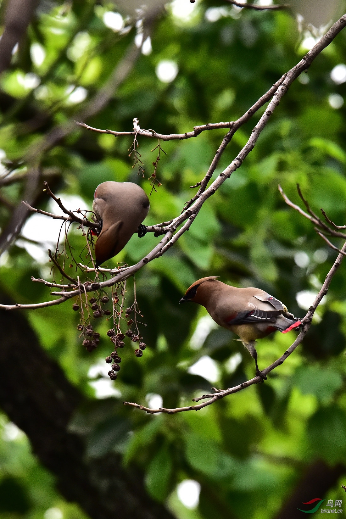 DSC_0212.JPG