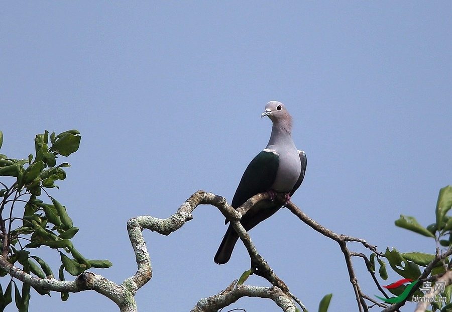 �˲�������ʦ����������ʡ �º���徰���������� ӯ����.jpg