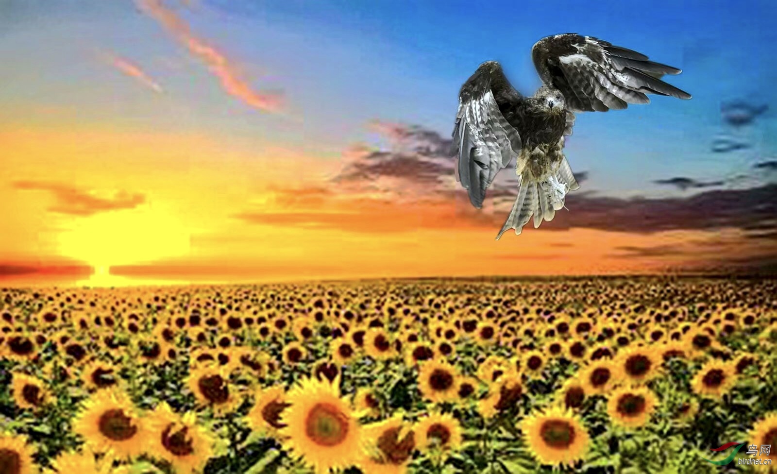 290E29A1-E95A-40E5-93FC-0686499DF5B0.jpeg