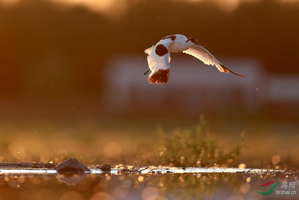 2020_06_27_19_11_IMG_5111 3.jpg