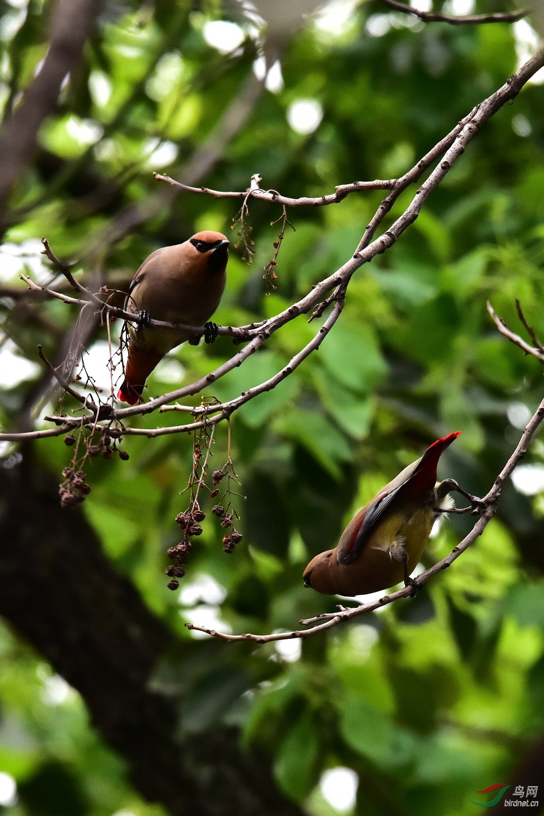 DSC_0213.JPG