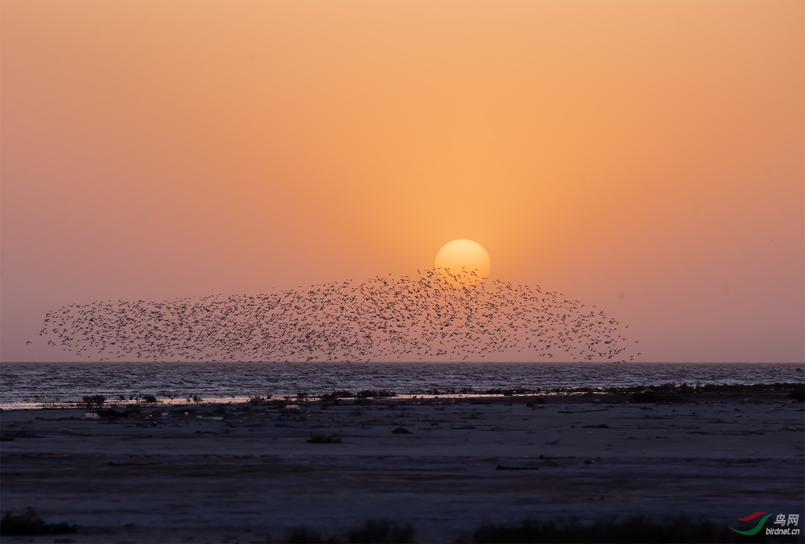 �ƻ� ��Ϧ��������_9070509.jpg