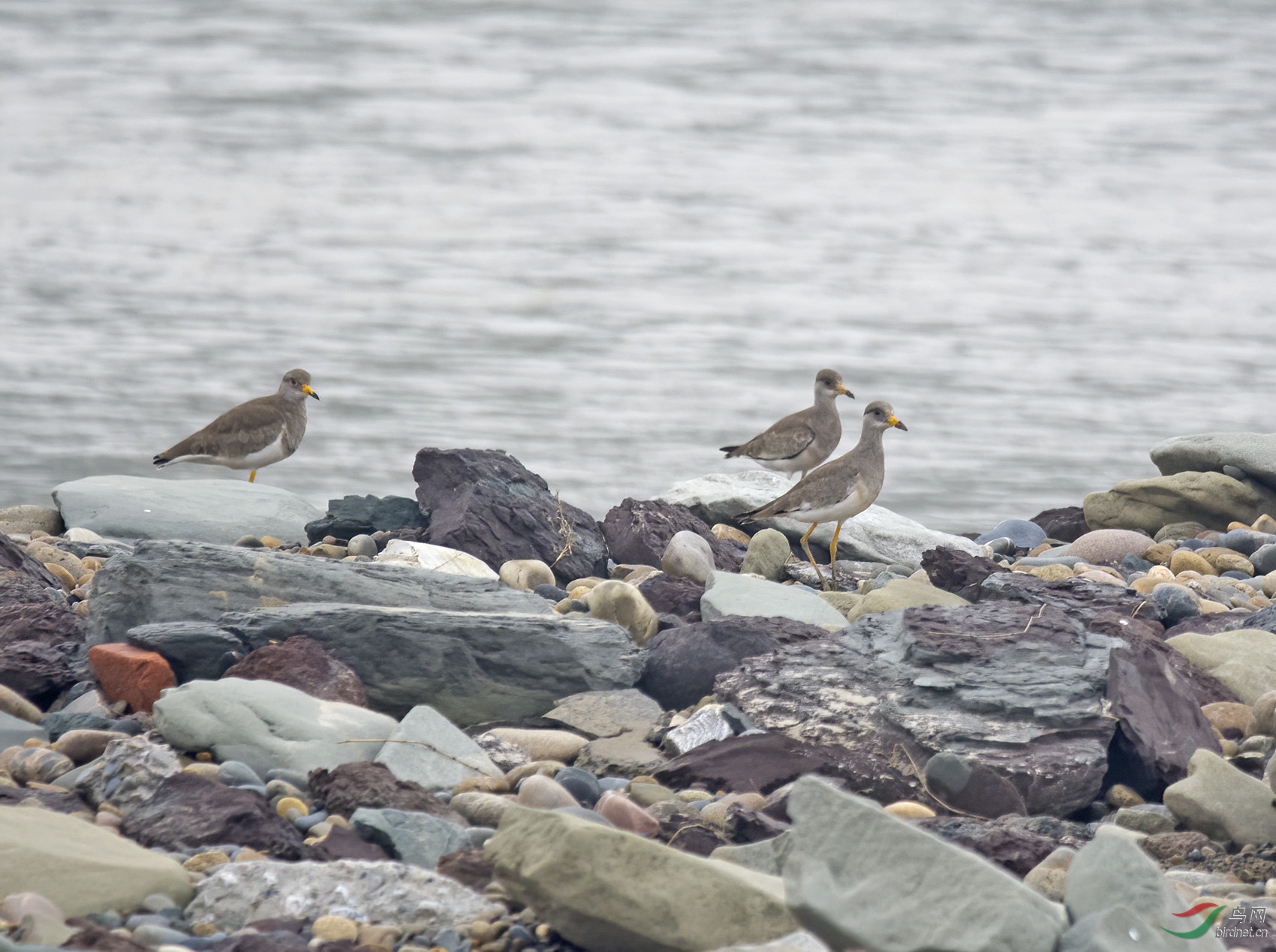 DSC_4953.jpg