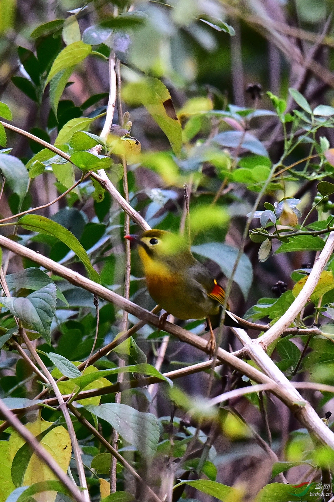 DSC_0228.JPG