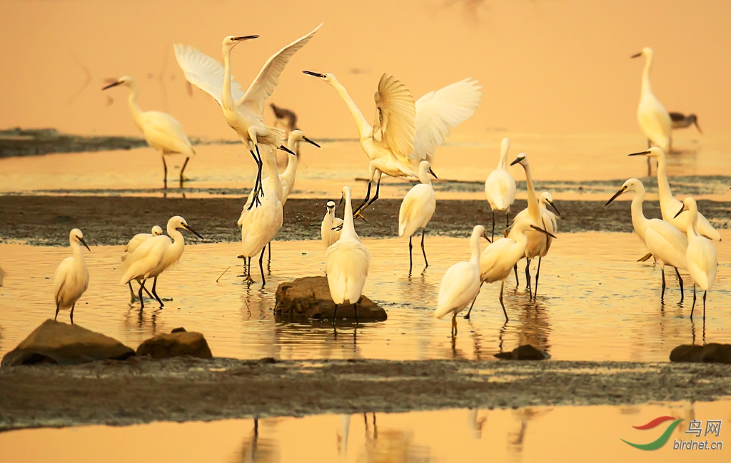 DSC_4515-0.jpg