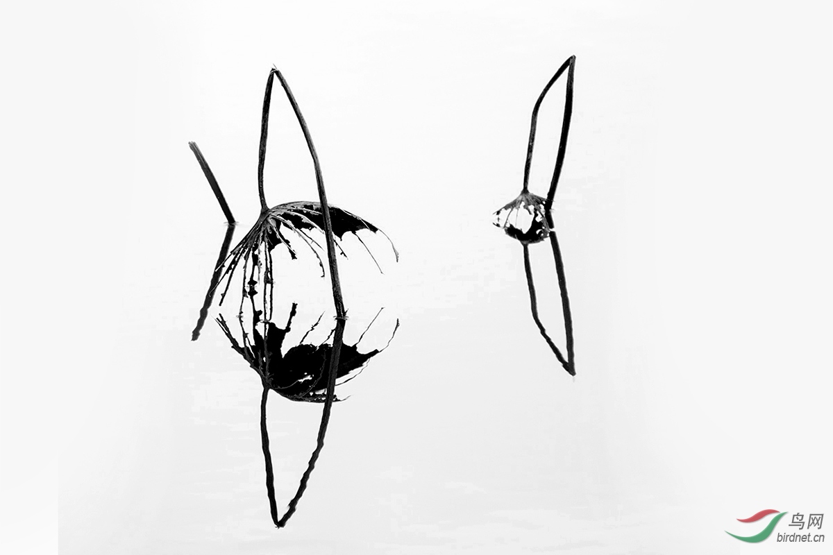 XSX_3672.jpg