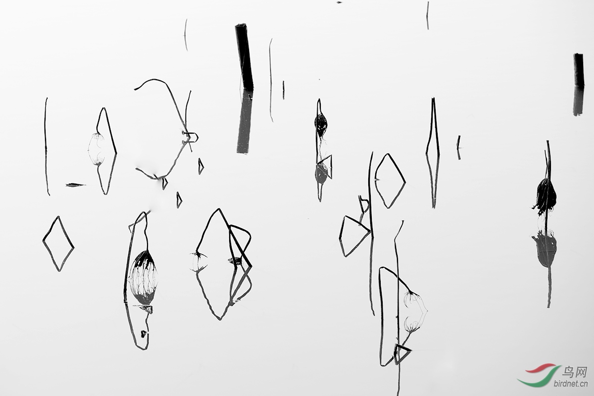 XSX_3771.jpg