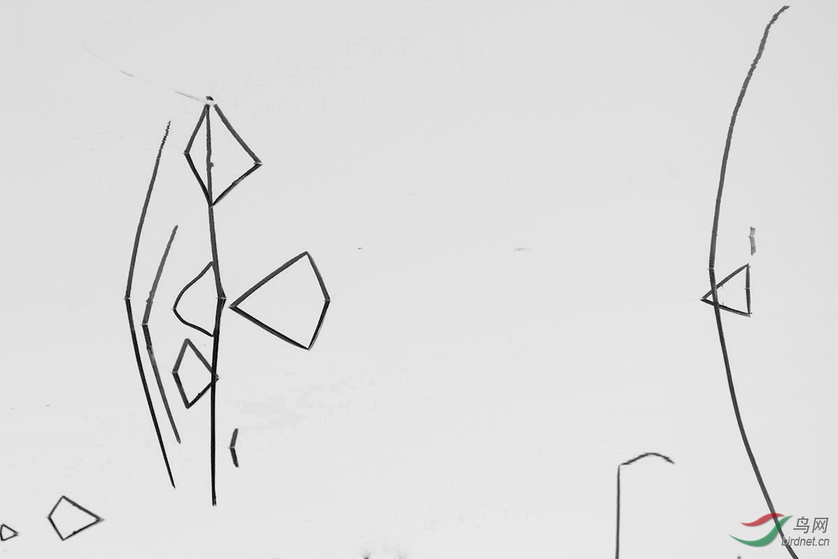 XSX_4100.jpg