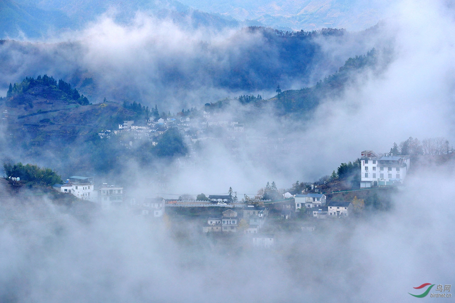 晓雾弥漫溢山村祝贺刘国林老师荣获首页综合精华