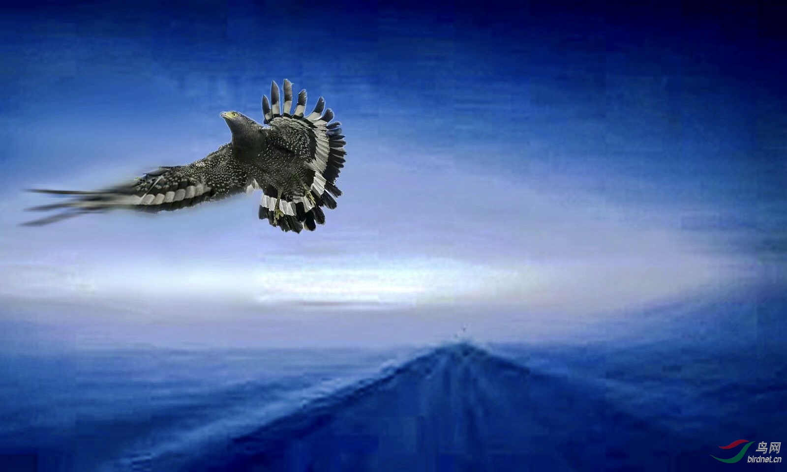 6BAD3A85-ED78-4FB6-857B-370BFCAEF3E3.jpeg