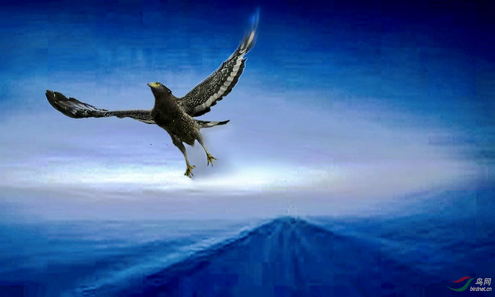 6933549E-A4CC-447F-916D-1B582CAAA7C9.jpeg