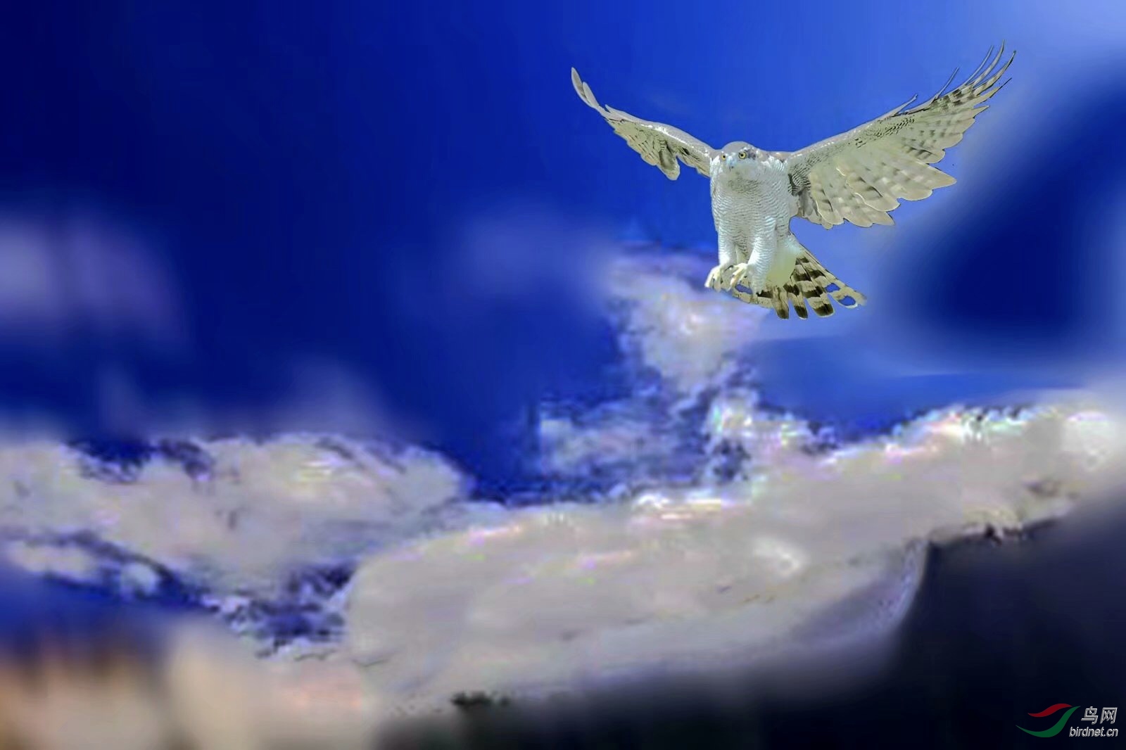 D21ADE77-F731-4394-AAF9-ACA28ECC2370.jpeg