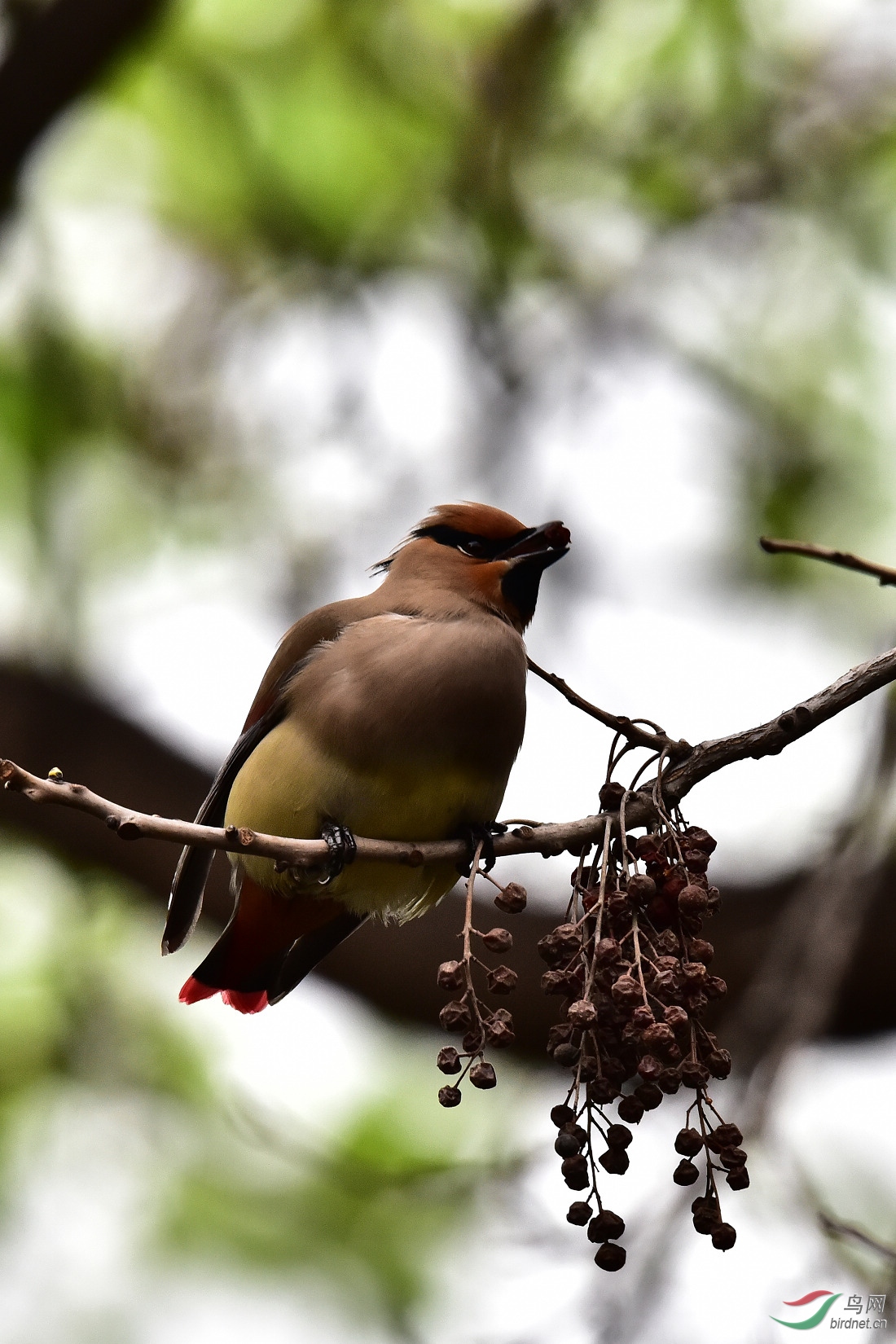 DSC_0237.JPG