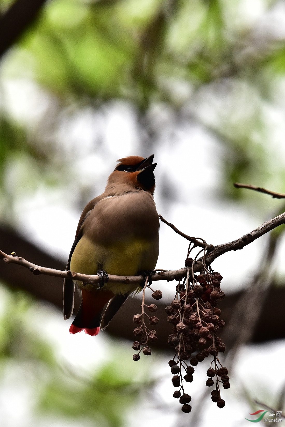 DSC_0238.JPG