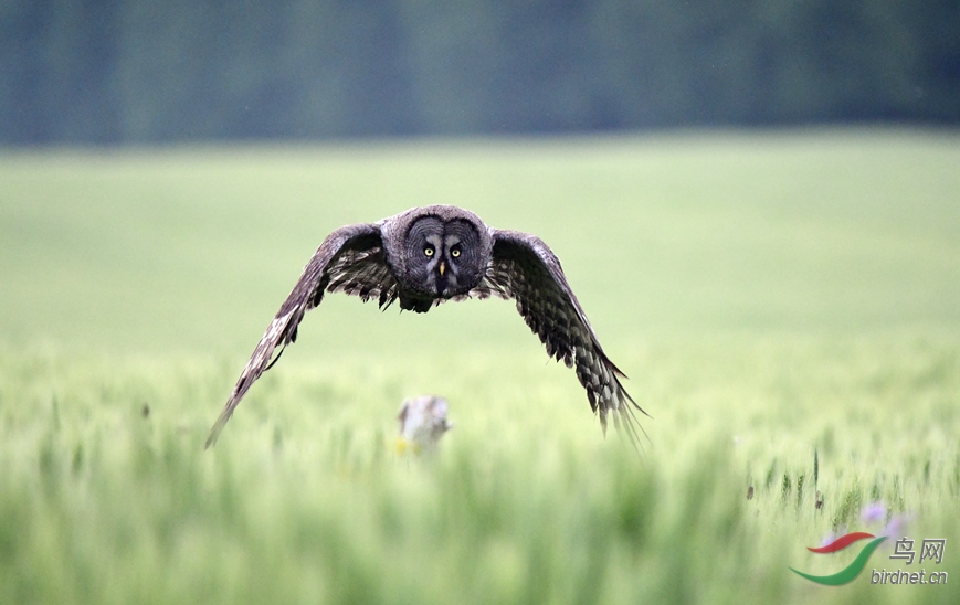 �����^ �� ��ū��������ӹ� (9).JPG