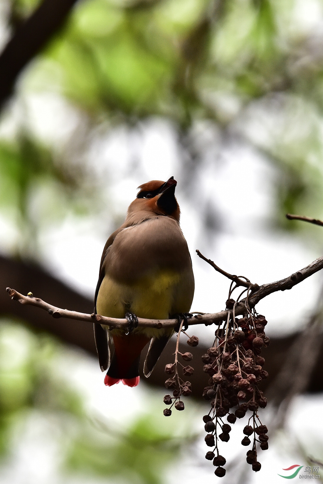 DSC_0239.JPG