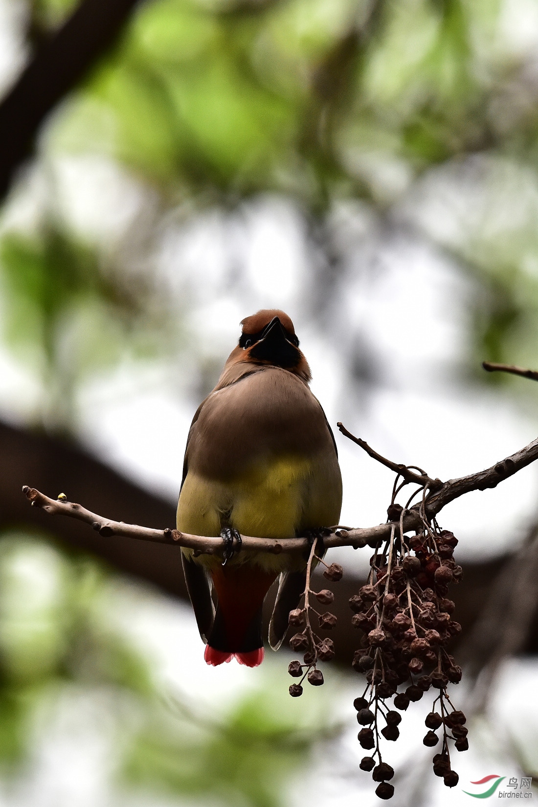 DSC_0240.JPG