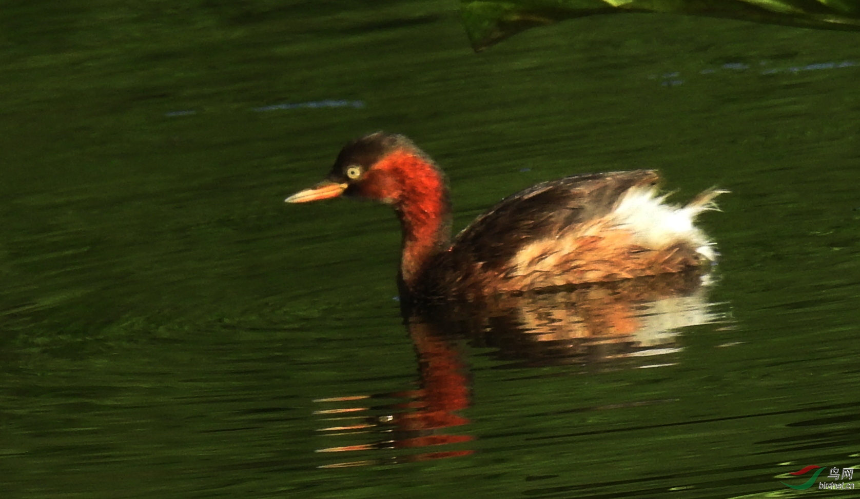 DSCN8505.JPG