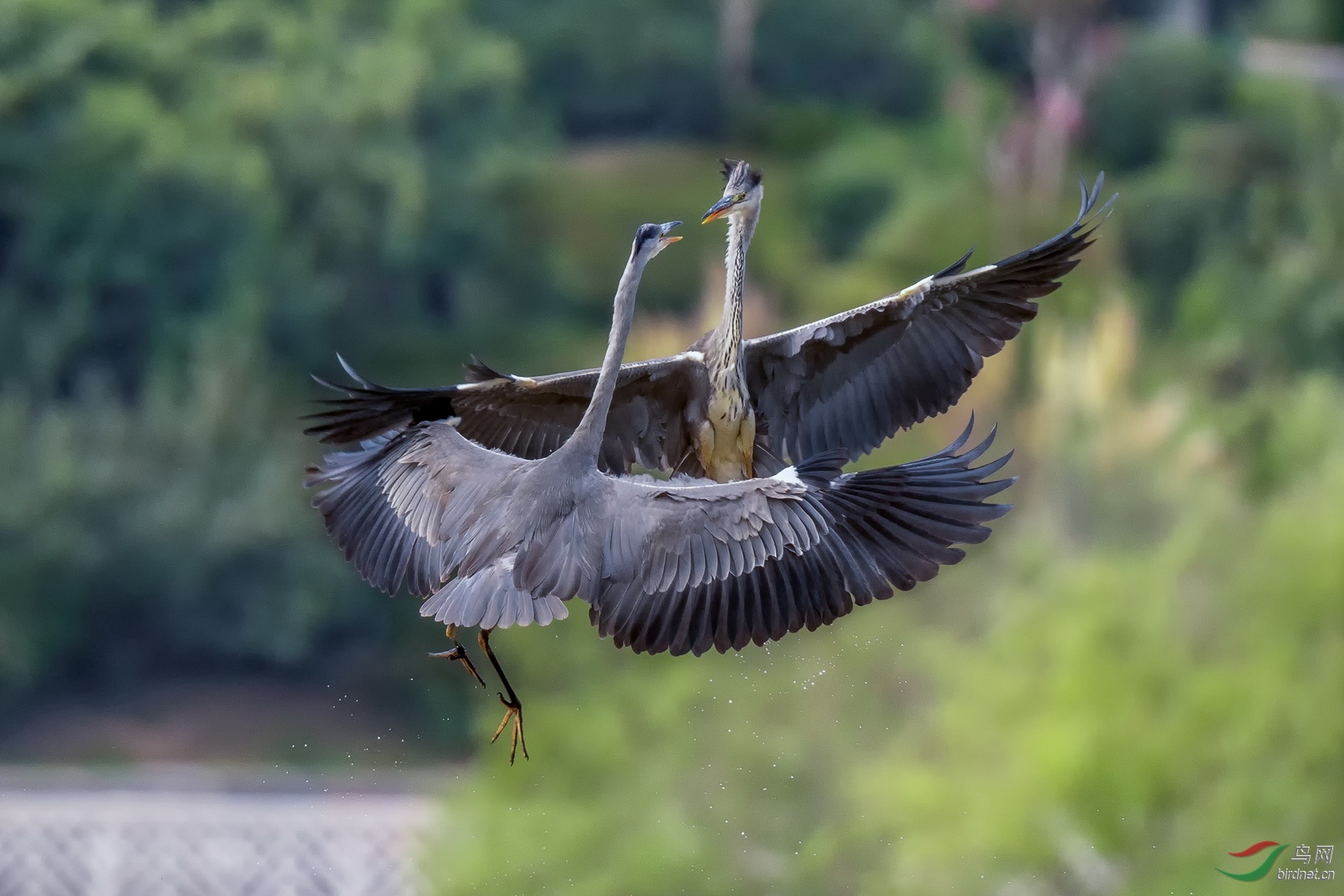 DSC_5415F05.jpg