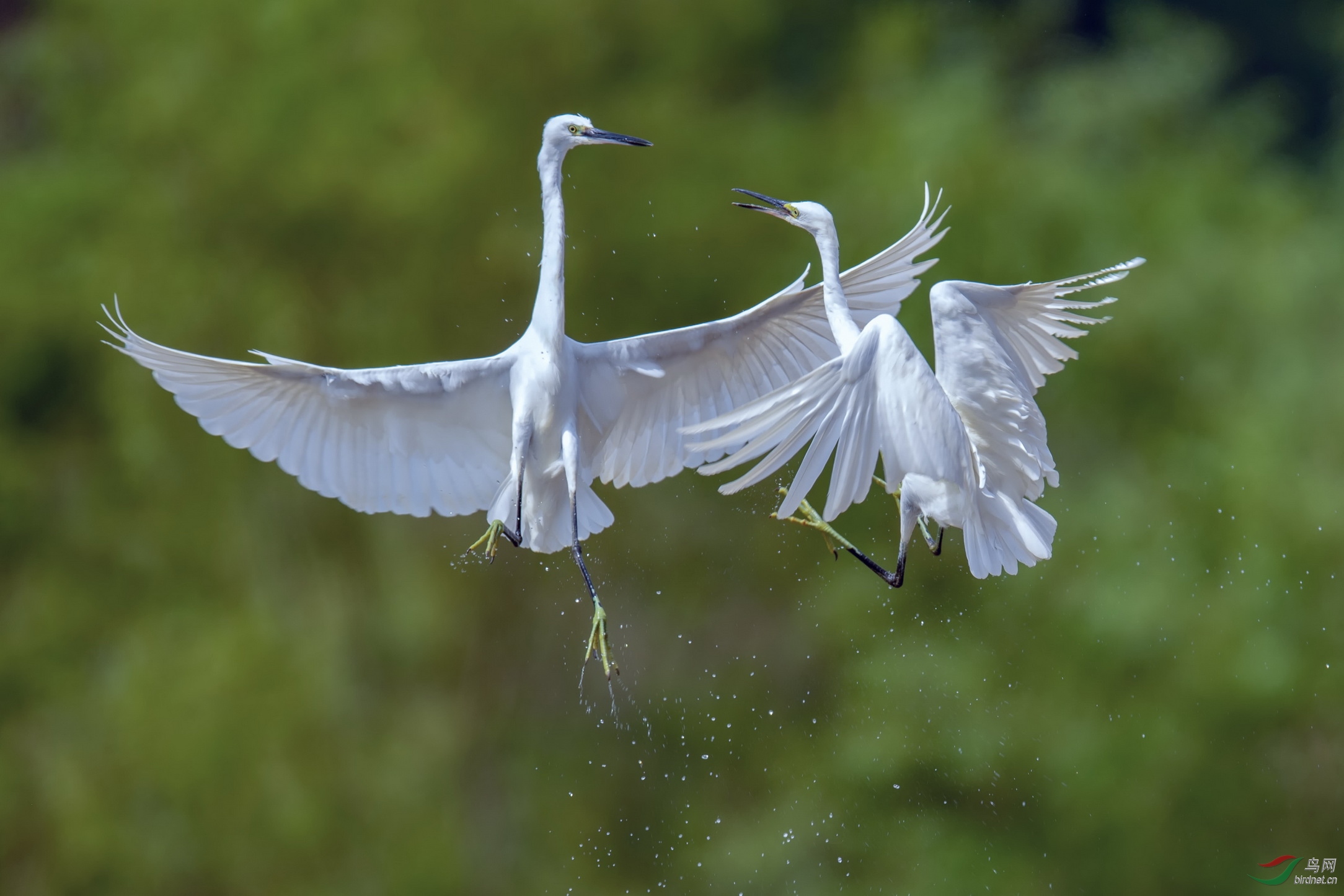 DSC_3556F03.jpg