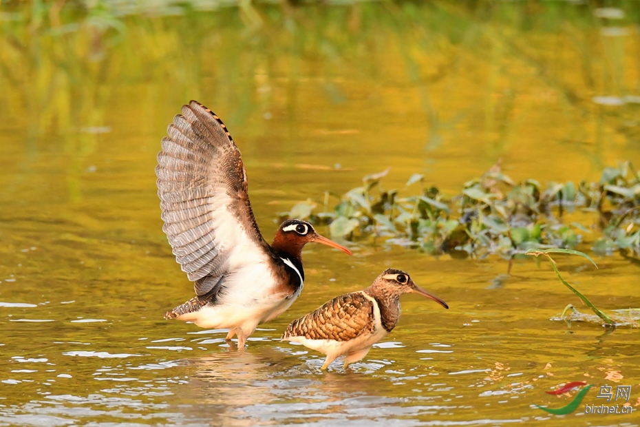 ���� �Ͻ������ǹ����������űߴ� (7).JPG