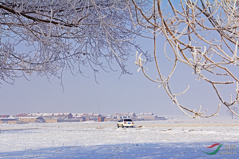 IMG_1430.jpg