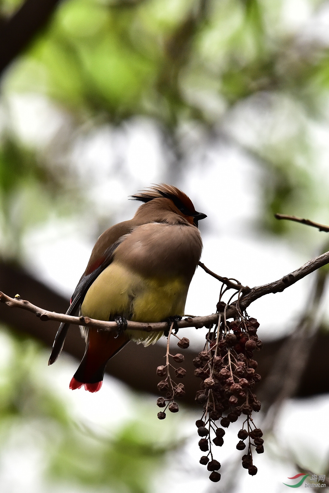 DSC_0245.JPG
