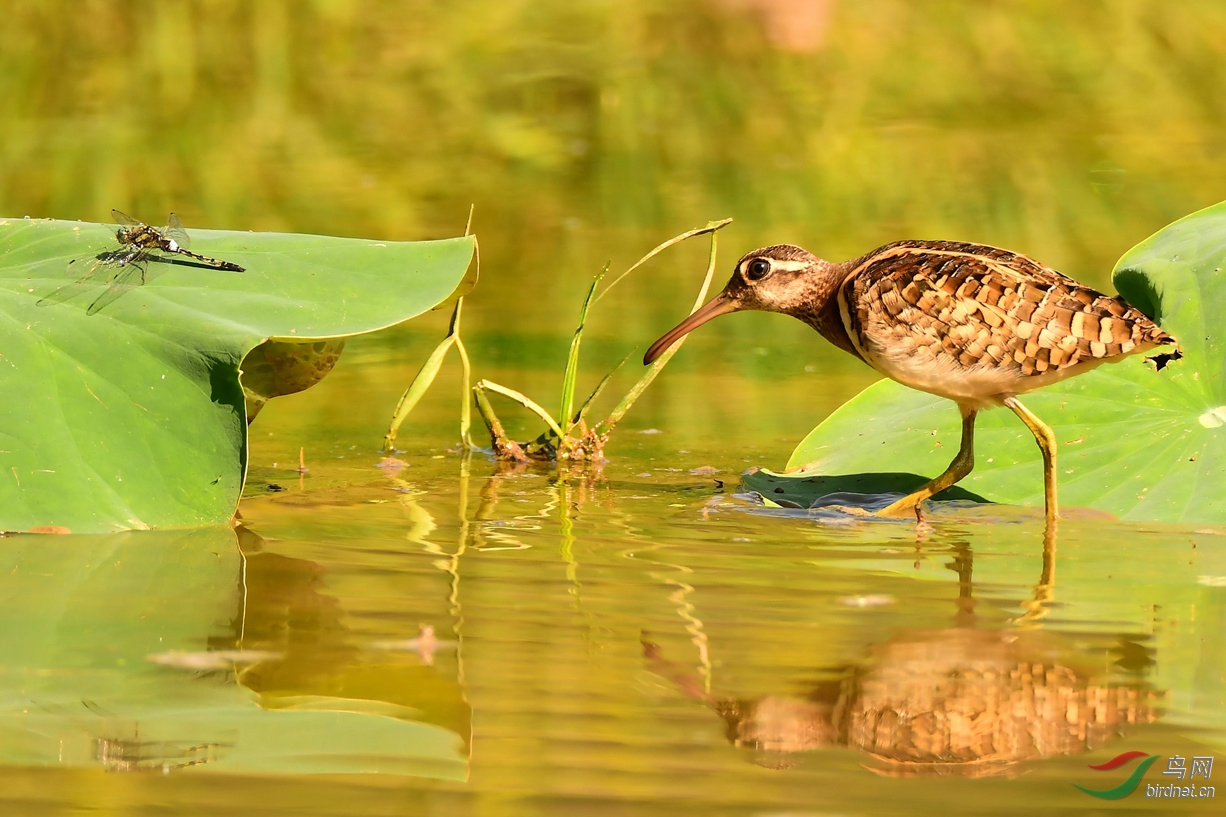 ���� �Ͻ������ǹ����������űߴ� (6).JPG