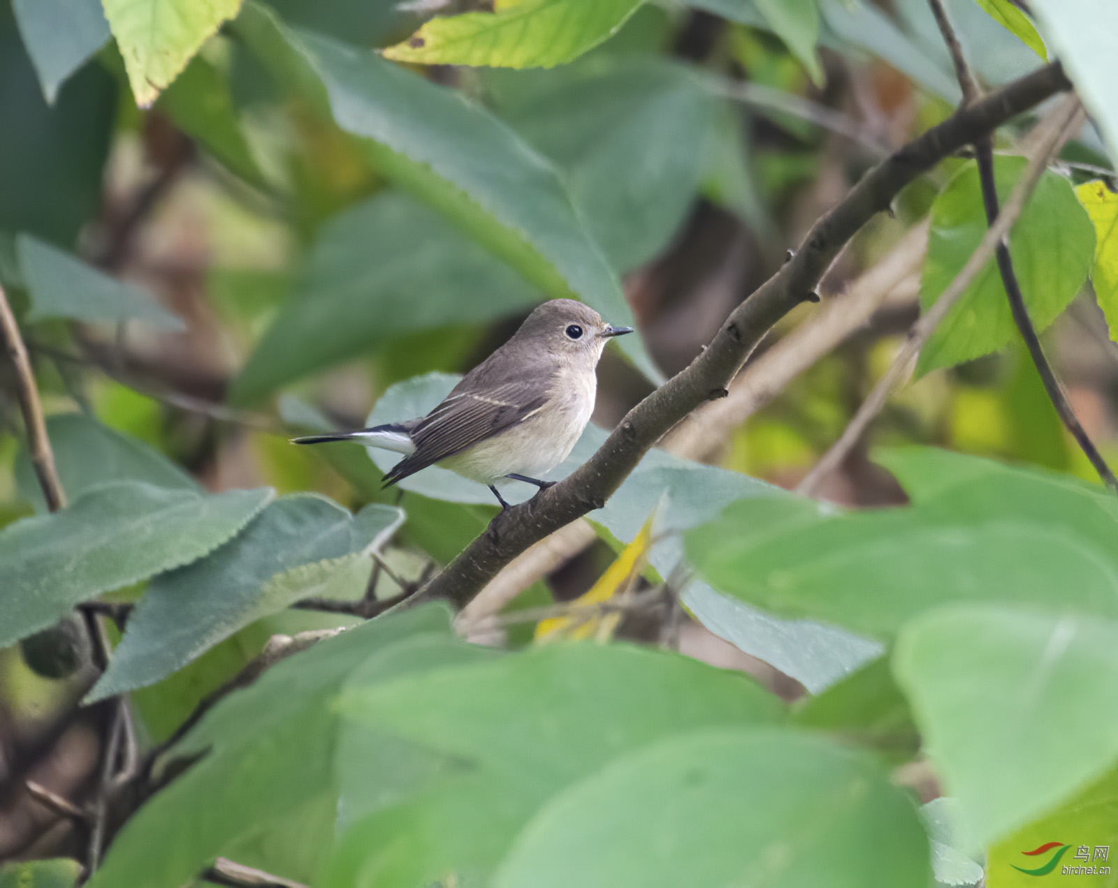 ������l  12��