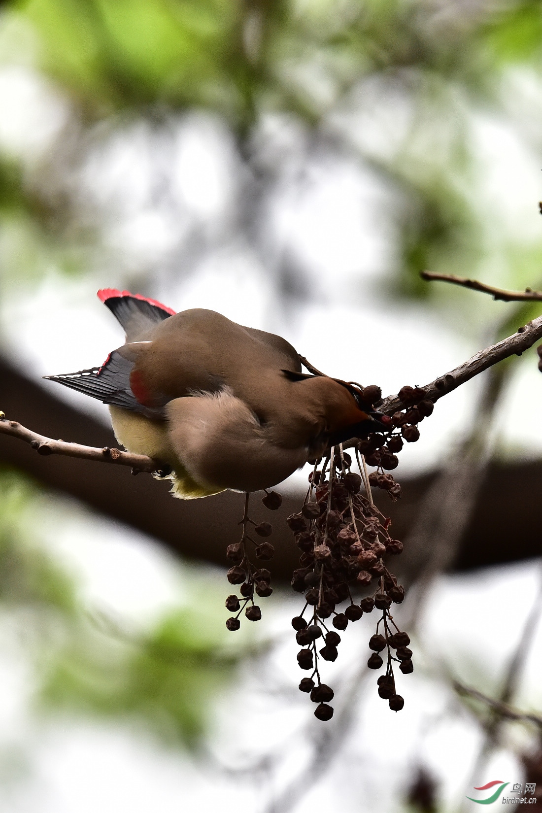 DSC_0249.JPG