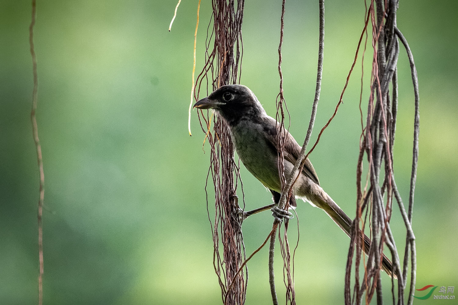 IMG_1653_DxO.jpg