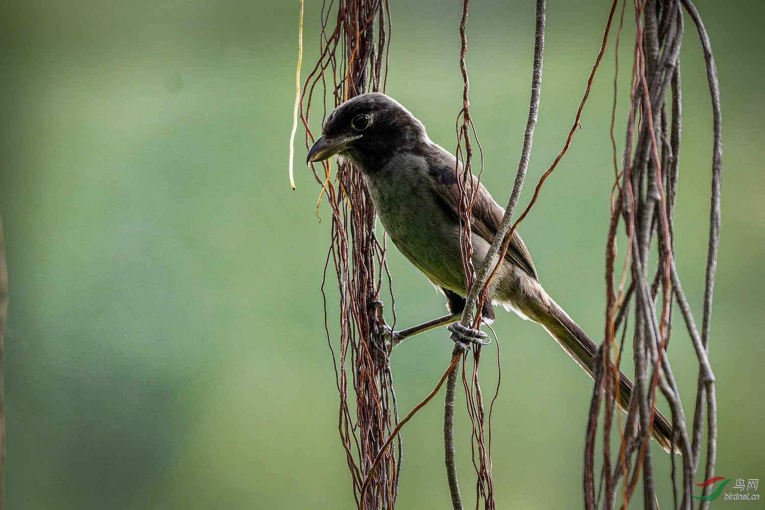 IMG_1655_DxO.jpg