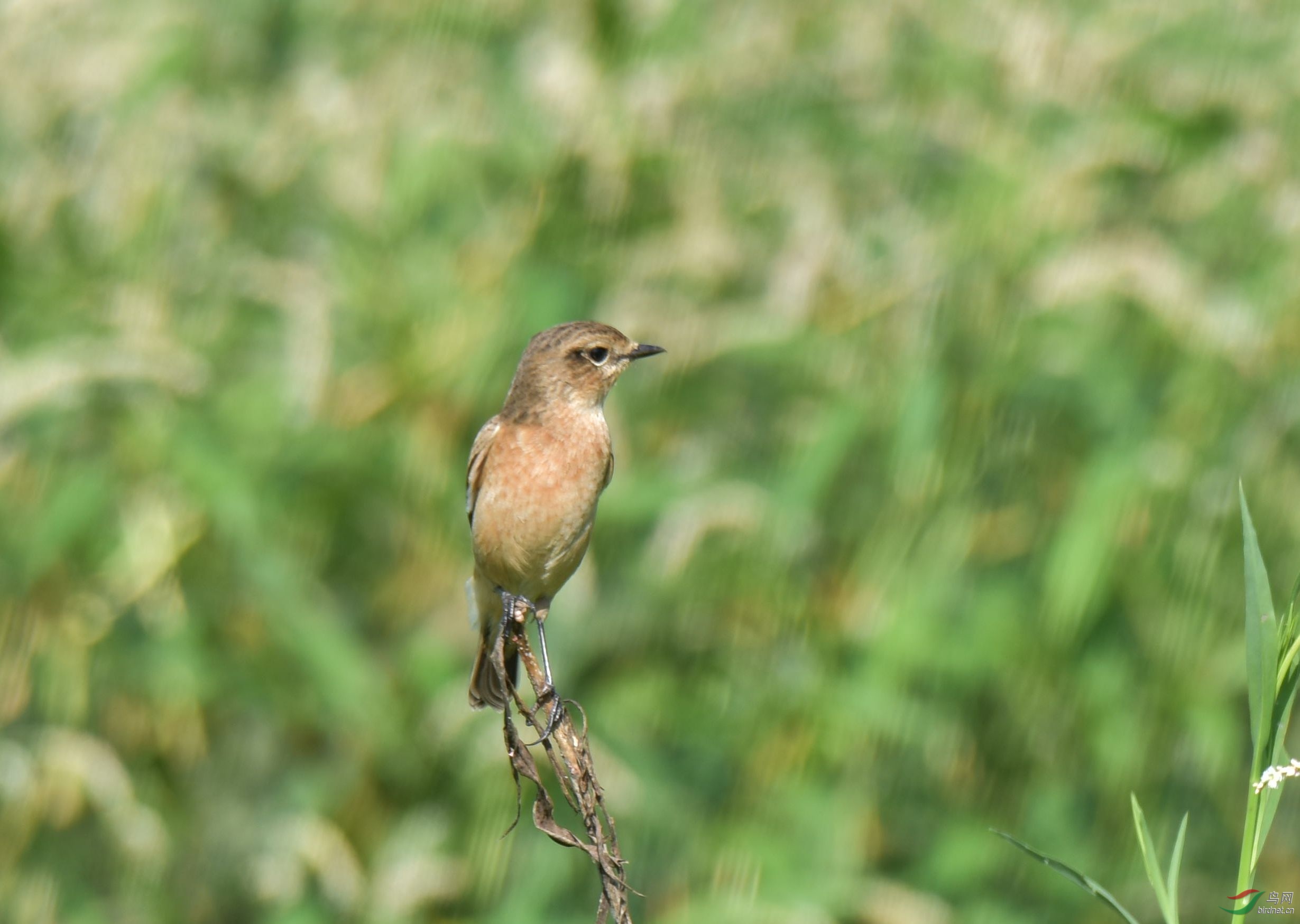 DSC_6720_����.jpg
