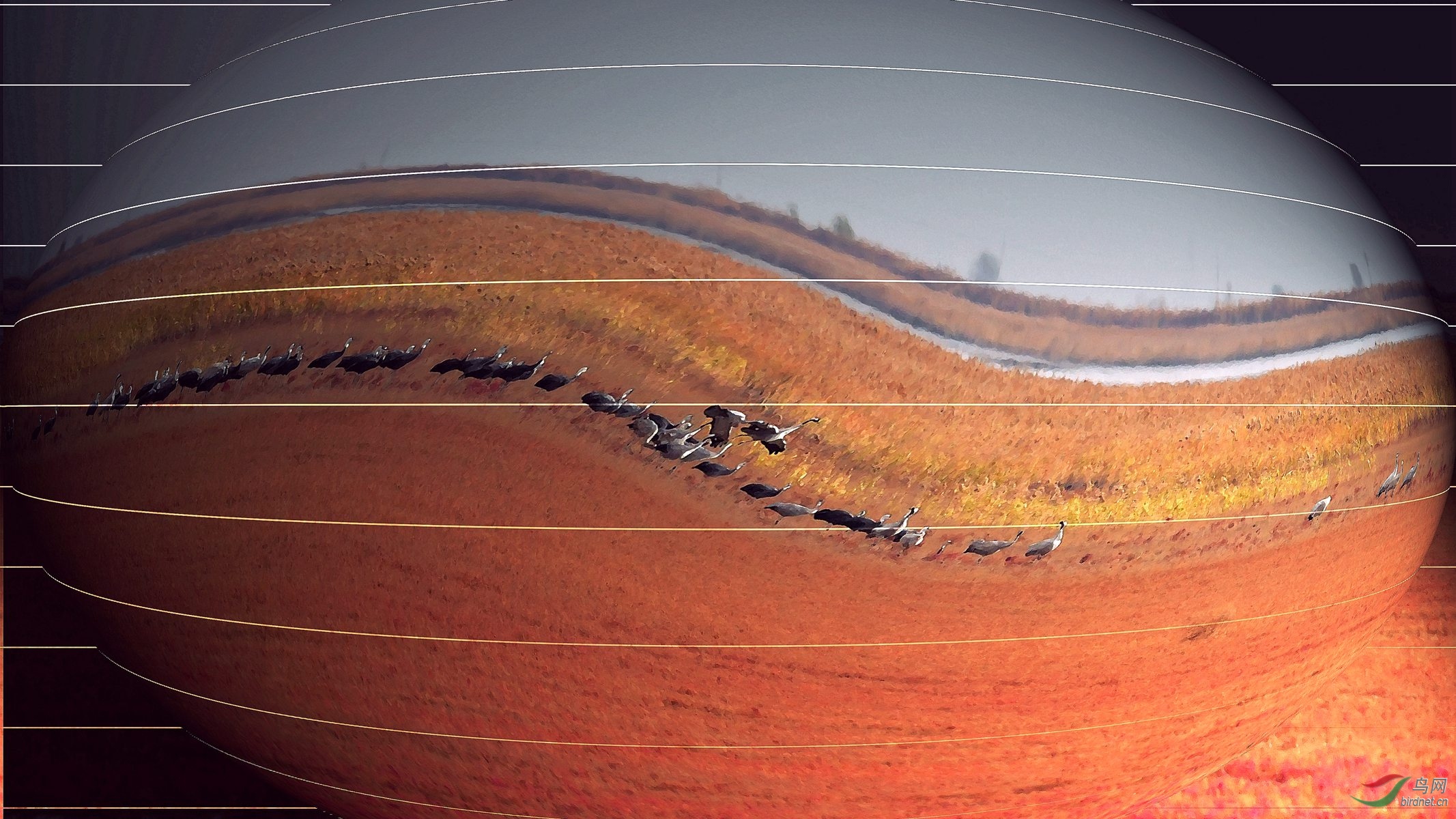 IYK_8898 ���� 2_����.jpg