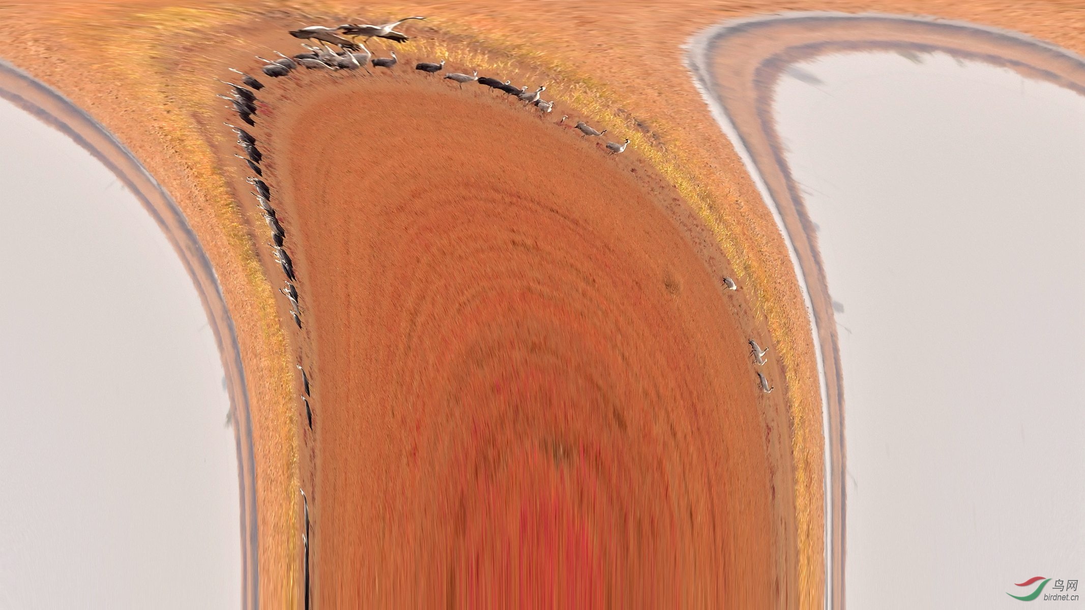 IYK_8898 ����_����.jpg