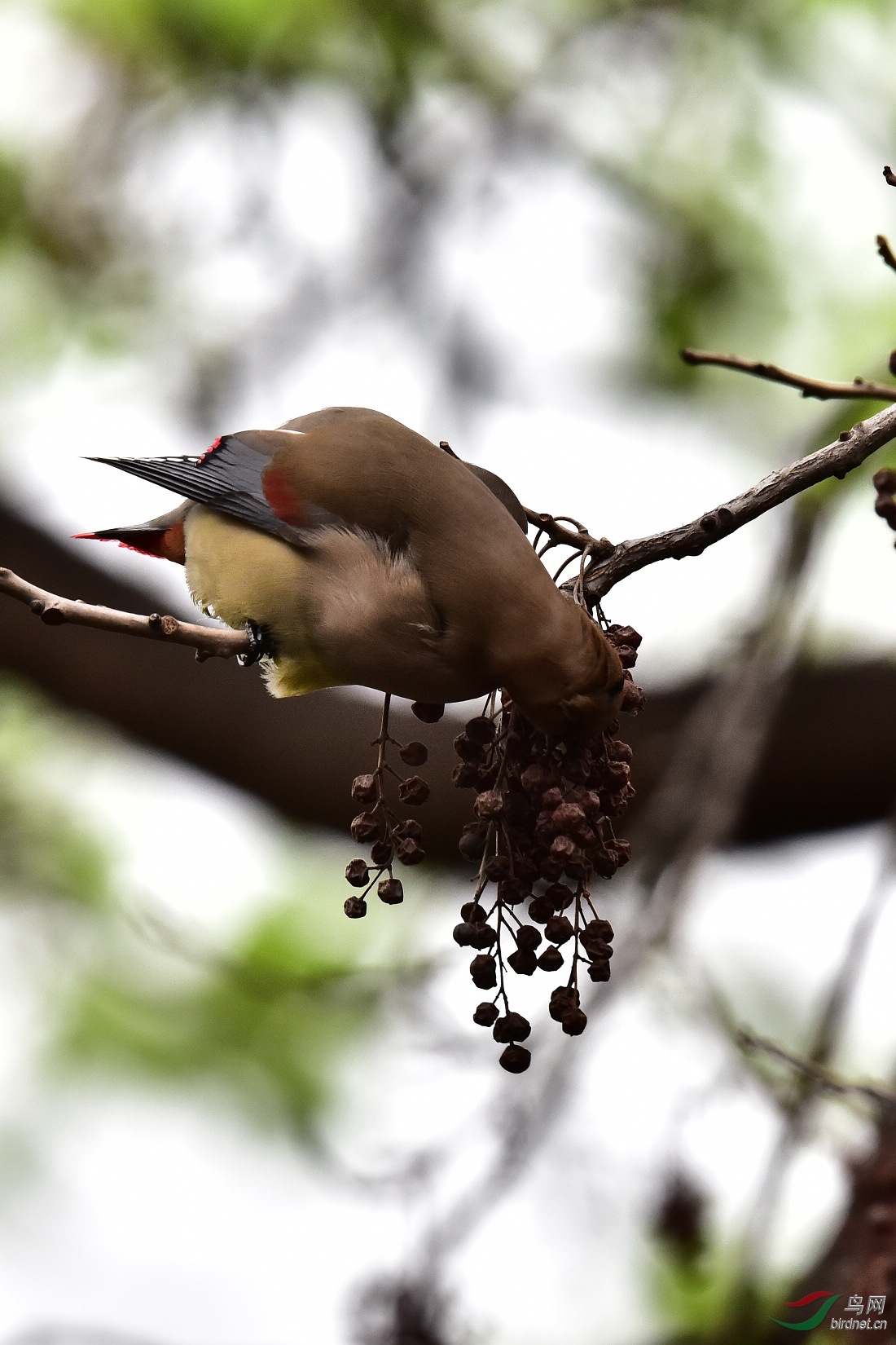 DSC_0252.JPG